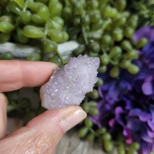 Amethyst spirit quartz, lavender, amethyst cactus quartz, natural amethyst, natural stone, fairy quartz #5