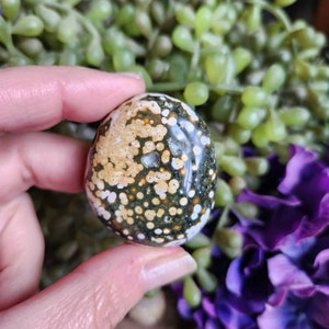 Ocean Jasper palm stone, 1.5 oz, orbicular jasper, sacred geometry, large tumbled stones, healing crystals, earthy, #C11