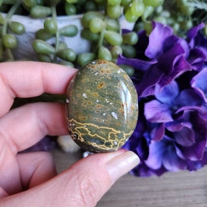 Ocean Jasper palm stone, 1.75oz, orbicular jasper, sacred geometry, large tumbled stones, healing crystals, earthy, #C27