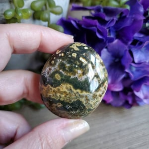 Pierre de palmier Ocean Jasper, jaspe orbiculaire, géométrie sacrée, grandes pierres tombées, cristaux de guérison, #B22 terreux