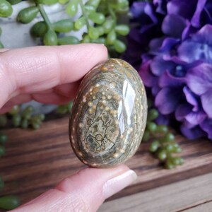 Ocean Jasper palm stone, orbicular jasper, sacred geometry, large tumbled stones, healing crystals, earthy #B25