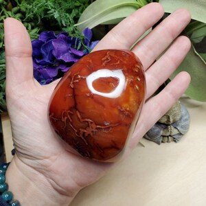 Carnelian freeform, 11.75oz, large, crystals, chakra stones, courage, red stone, altar decoration, meditation crystals, root chakra, 2 image 8