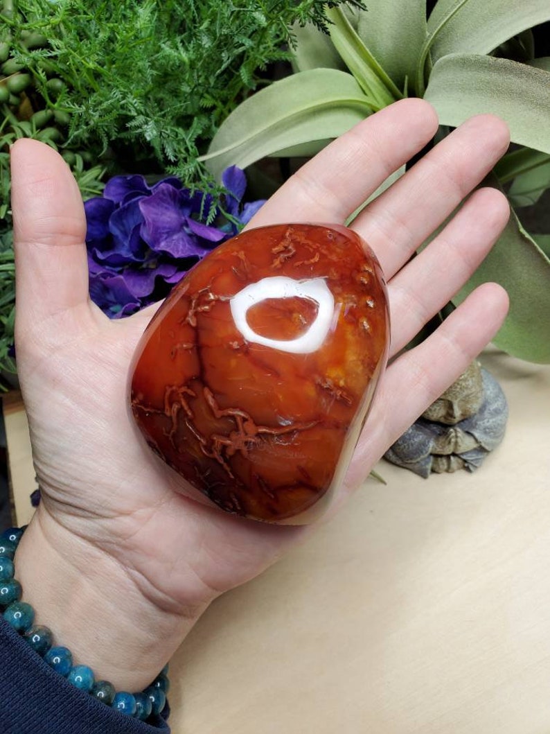 Carnelian freeform, 11.75oz, large, crystals, chakra stones, courage, red stone, altar decoration, meditation crystals, root chakra, 2 image 8