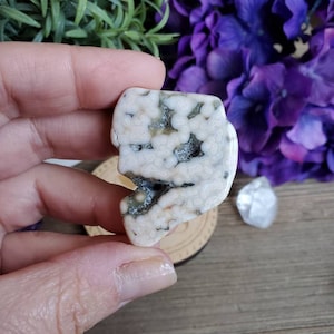 Ocean Jasper tumbled stone, orbicular jasper, sacred geometry, large tumbled stones, healing crystals, earthy, #17