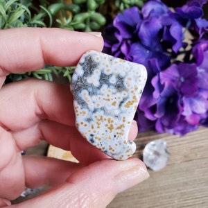 Ocean Jasper pierre culbutée, jaspe orbiculaire, géométrie sacrée, grandes pierres culbutées, cristaux curatifs, terreux, #48