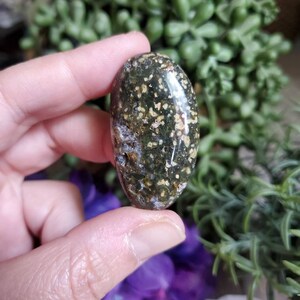 Pierre de palmier Ocean Jasper, .67 oz, jaspe orbiculaire, géométrie sacrée, grandes pierres tombées, cristaux de guérison, terreux, #X35