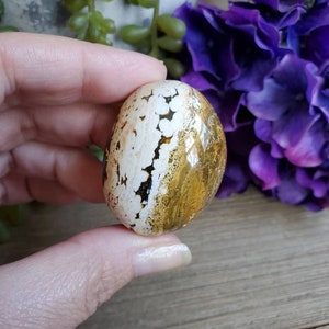Ocean Jasper palm stone, orbicular jasper, sacred geometry, large tumbled stones, healing crystals, earthy #B9