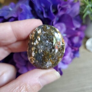 Pierre de palmier Ocean Jasper, 1 oz, jaspe orbiculaire, géométrie sacrée, grandes pierres tombées, cristaux de guérison, terreux, #X28