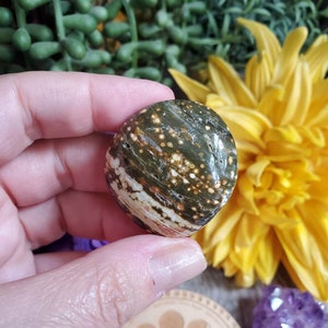 Ocean Jasper palm stone, 1 oz, orbicular jasper, sacred geometry, large tumbled stones, healing crystals, earthy, #X60