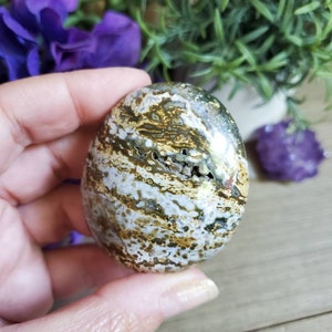 Ocean Jasper palm stone, 3 oz, orbicular jasper, sacred geometry, large tumbled stones, healing crystals, earthy, #C4