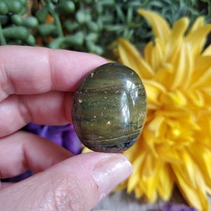 Ocean Jasper palm stone, .75 oz, orbicular jasper, sacred geometry, large tumbled stones, healing crystals, earthy, #X64
