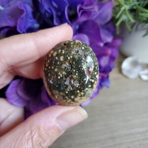 Ocean Jasper palm stone, 1 oz, orbicular jasper, sacred geometry, large tumbled stones, healing crystals, earthy, #X22