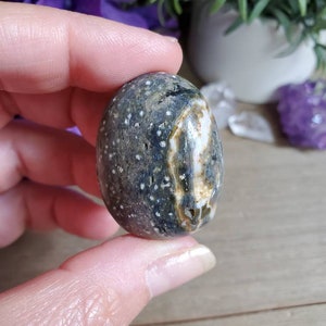 Ocean Jasper palm stone, 1 oz, orbicular jasper, sacred geometry, large tumbled stones, healing crystals, earthy, #X19