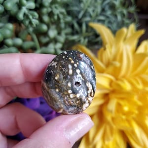 Ocean Jasper palm stone, .75 oz, orbicular jasper, sacred geometry, large tumbled stones, healing crystals, earthy, #X61