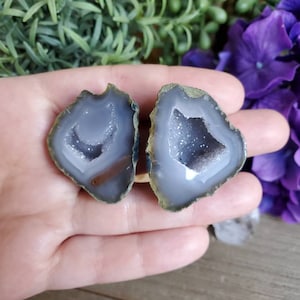 May include: Two halves of a geode with a gray and white interior. The geode is a natural crystal formation with a hollow center lined with crystals.