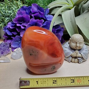 Carnelian freeform, 11.75oz, large, crystals, chakra stones, courage, red stone, altar decoration, meditation crystals, root chakra, 2 image 10