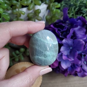 Garnierite palm stone, 1.67 oz, rare batch, worry stones, good luck stone, self love crystals, healing crystals, heart chakra, #215