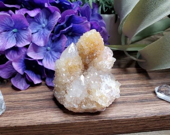 Grand quartz esprit citrine, 4,87 oz, quartz cactus naturel, cristaux, quartz ananas, protection aura, cristaux de guérison, #32