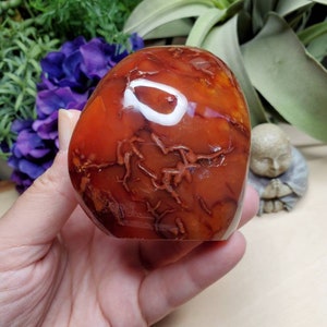 Carnelian freeform, 11.75oz, large, crystals, chakra stones, courage, red stone, altar decoration, meditation crystals, root chakra, 2 image 1