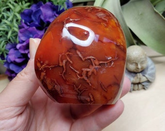 Carnelian freeform, 11.75oz, large, crystals, chakra stones, courage, red stone, altar decoration, meditation crystals, root chakra, #2