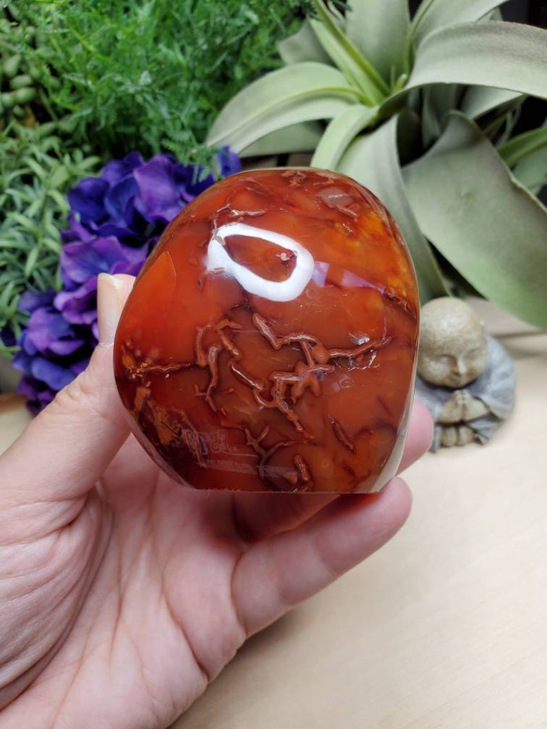 Carnelian freeform, 11.75oz, large, crystals, chakra stones, courage, red stone, altar decoration, meditation crystals, root chakra, 2 image 1