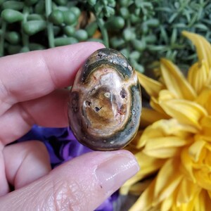 Ocean Jasper palm stone, 1 oz, orbicular jasper, sacred geometry, large tumbled stones, healing crystals, earthy, #X50