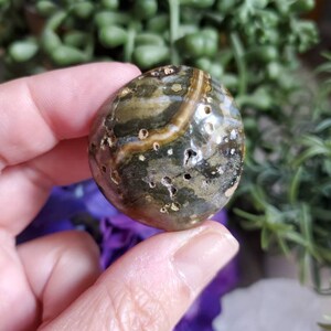 Pierre de palmier Ocean Jasper, 1,25 oz, jaspe orbiculaire, géométrie sacrée, grandes pierres tombées, cristaux de guérison, terreux, #X40