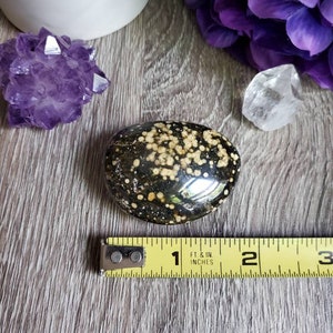 Pierre de palmier Ocean Jasper, 1,87 oz, jaspe orbiculaire, géométrie sacrée, grandes pierres tombées, cristaux de guérison, terreux, X2 image 7