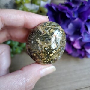 Ocean Jasper palm stone, orbicular jasper, sacred geometry, large tumbled stones, healing crystals, earthy #B17