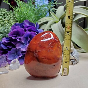 Carnelian freeform, 11.75oz, large, crystals, chakra stones, courage, red stone, altar decoration, meditation crystals, root chakra, 2 image 9