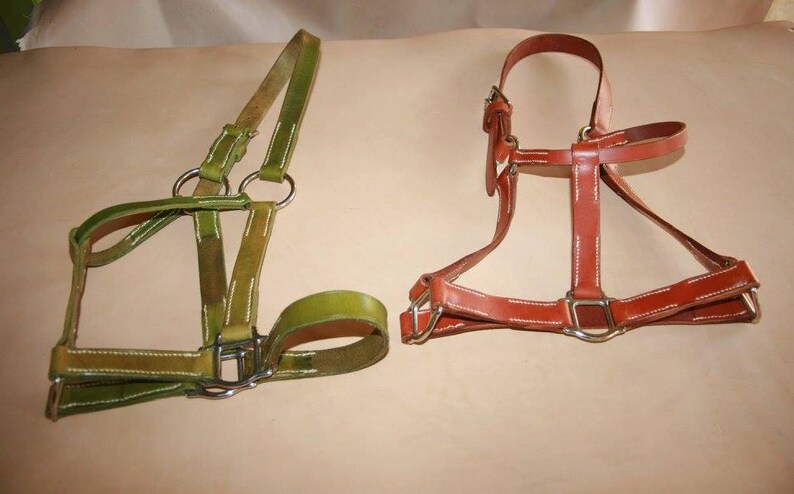 Licol taille cheval en cuir haute qualité cousu main - Etsy France
