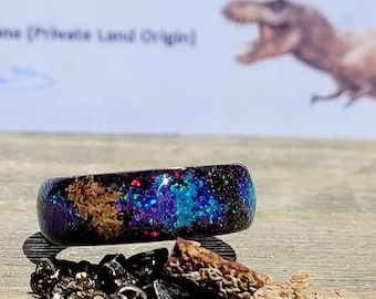 The "T-Rex Galaxy Ring" * Tyrannosaurus Bone and Meteorite Glow in the Dark Ring * Handmade on Tungsten * Authentic T-Rex Fossil