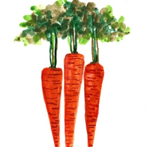 Keukenkunst, groenteschilderij, schilderij wortelen 5 x 7 inch, originele aquarelfoto Cate Mandigo, food art, vegetarische kunst, tuinkunst