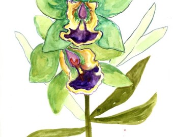 nature painting Daffodils birthday rich yellow gold and orange kids room gift botanical Cate Mandigo Art watercolor original art