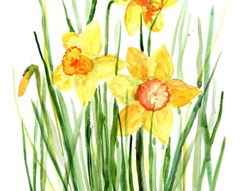 nature painting Daffodils birthday rich yellow gold and orange kids room gift botanical Cate Mandigo Art watercolor original art