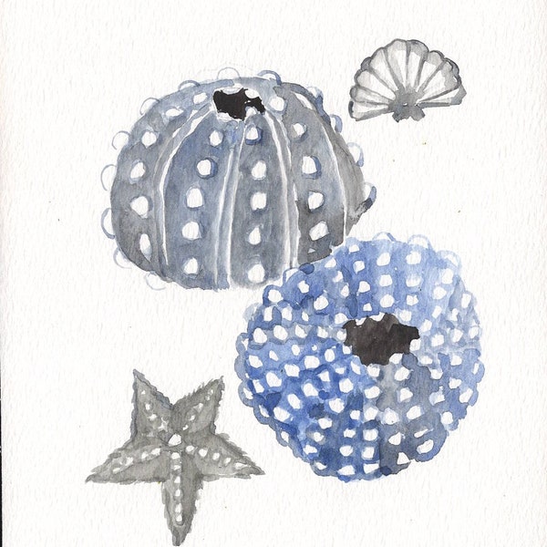 Small sea urchin and shells painting, 5x7 inch original watercolor Cate Mandigo art, coastal art, beach house art