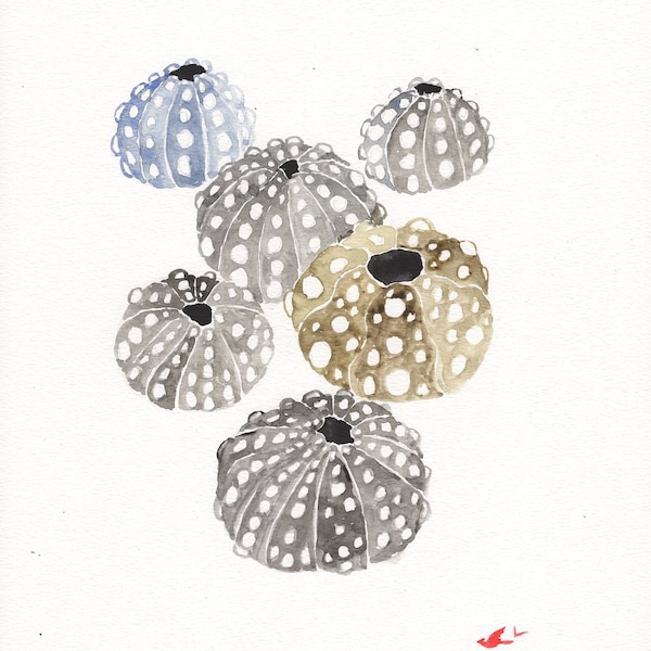 Simple Sea Urchin Art, 9x12 inch original Cate Mandigo watercolor, sea creatures coastal art