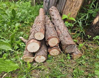 Pine Logs / Sticks / Set of TEN / 12" Long / Approximately 1-2" Diameter