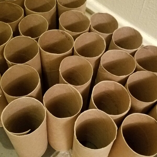Toilet Paper Tubes Etsy