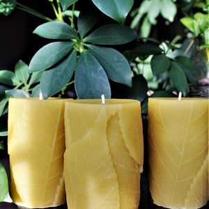 Beeswax Candle Leaf Style