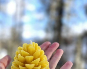 Beeswax Pinecone Candle