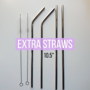 Extra Stainless Steel Straws 10.5&quot; - Individually or as Set