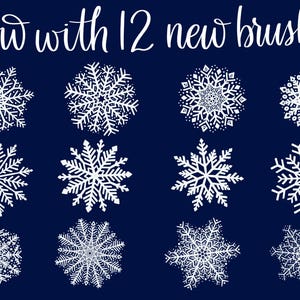 Custom Snowflake Brushes for Procreate App now with 12 new shapes image 3