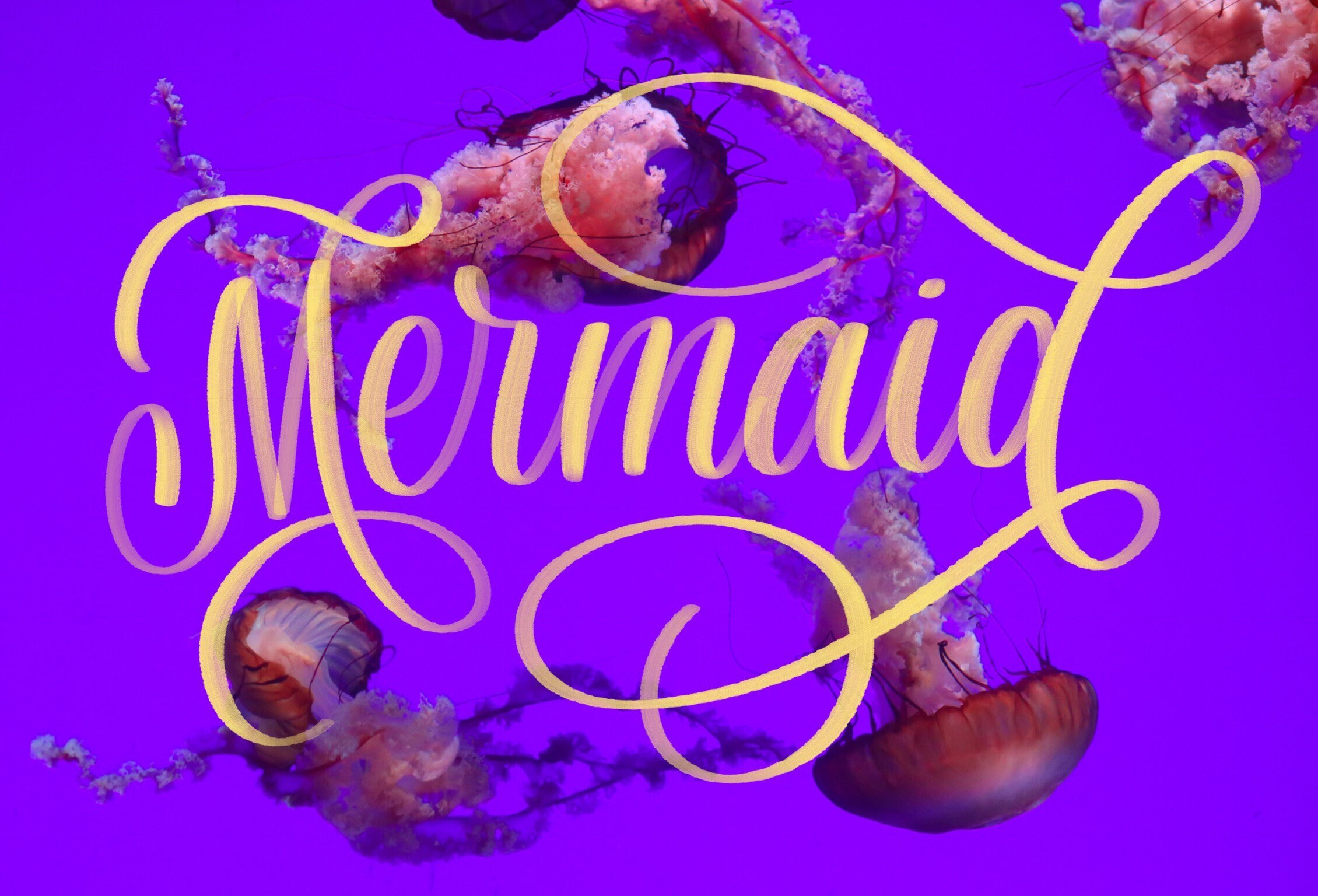 Mermaid Lettering Brush for Procreate - Etsy
