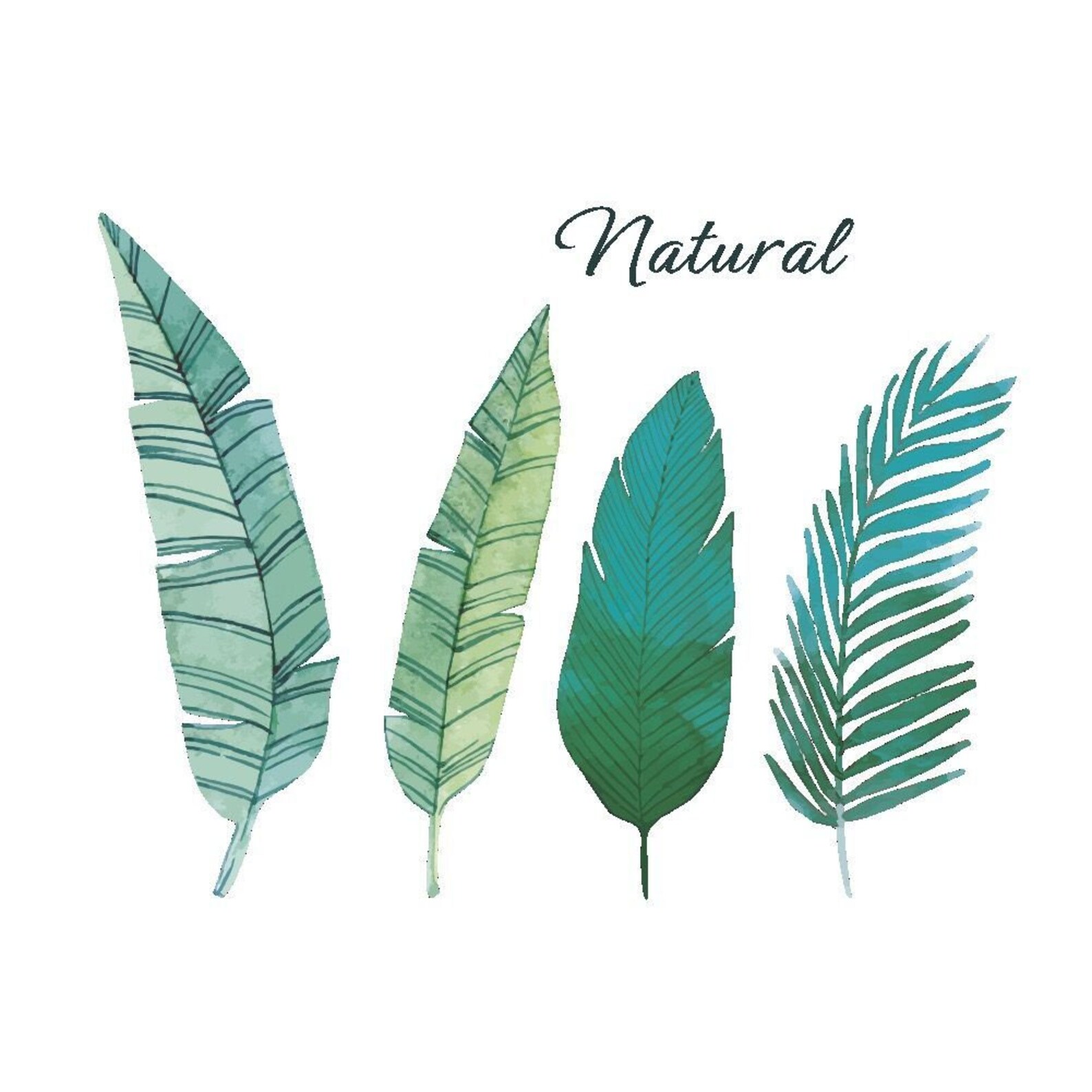 Four single green leaf wall Decals natural planting living Etsy