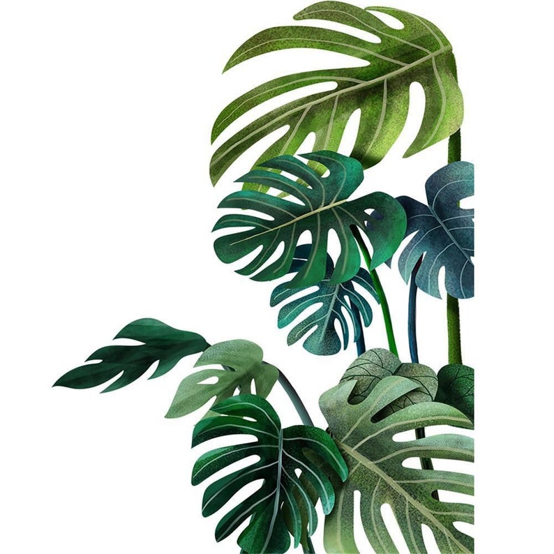 Tropical Green Monstera Leaf Wall Decal Wall Corner Etsy