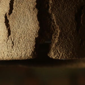 May include: Close-up of a textured, brown object with a rough, weathered appearance. The object has a natural, earthy tone and a slightly rounded shape. The surface is detailed with ridges and crevices.
