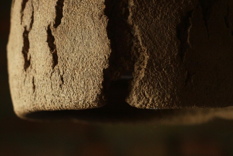 May include: Close-up of a textured, brown object with a rough, weathered appearance. The object has a natural, earthy tone and a slightly rounded shape. The surface is detailed with ridges and crevices.