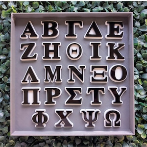 May include: A set of black and white Greek alphabet letters arranged in a gray tray. The letters are bold and have a white border. The tray is surrounded by green foliage.