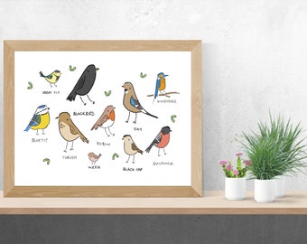 Garden Birds Poster - British Bird Print - Wall Art - Home Decor - Wall Decor